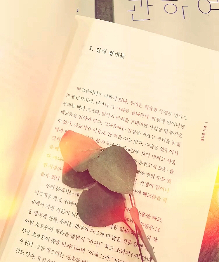 #책추천: 단식 광대여, 배고픔을 아는가 / 19세 여고생