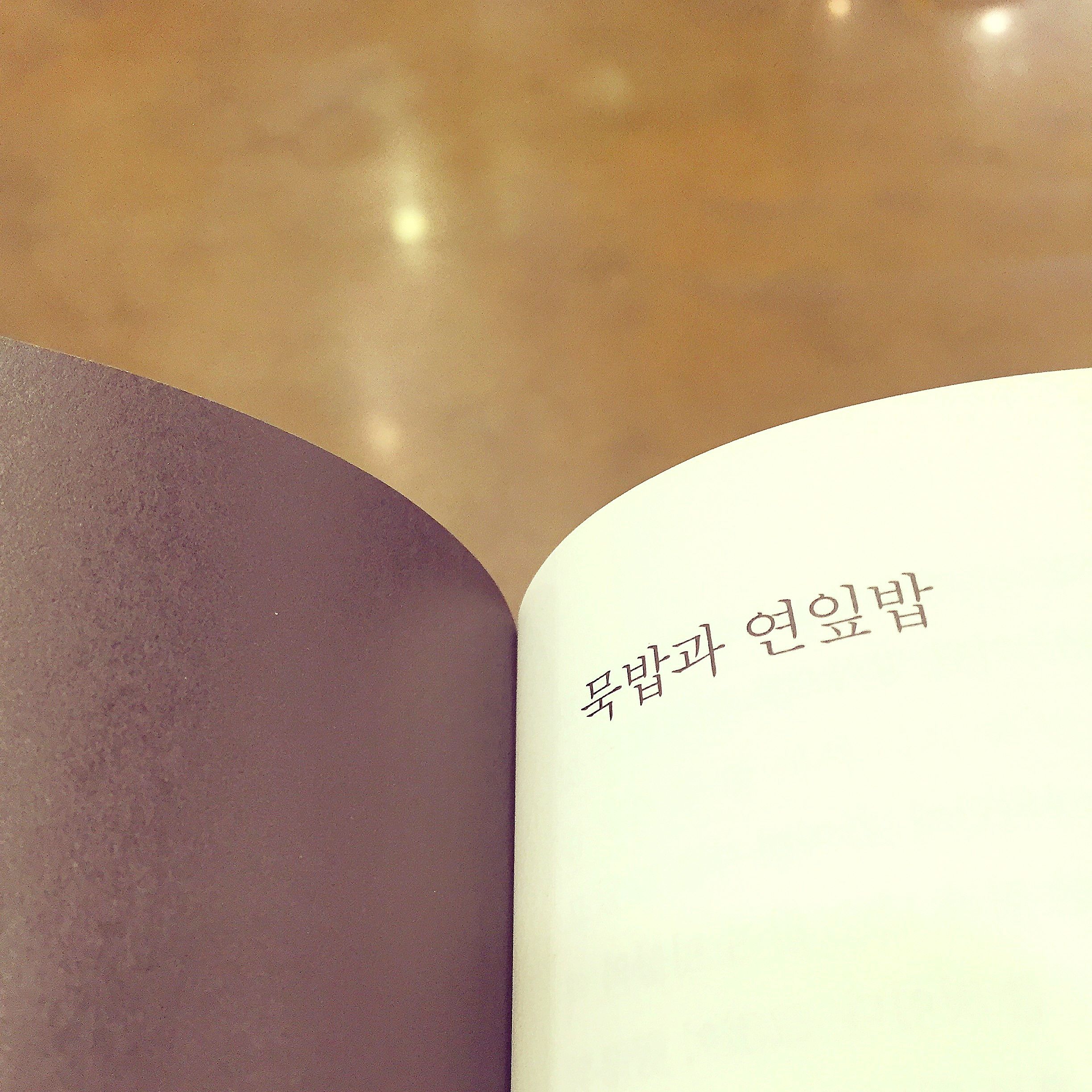 #책추천: 요리 활동 / 공원을 헤엄치는 붉은 물고기