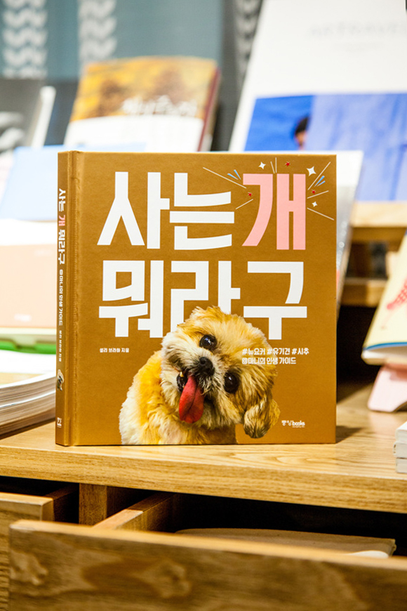 #책추천: 당신의 열두 달은 어떤가요 / 사는 개 뭐라구