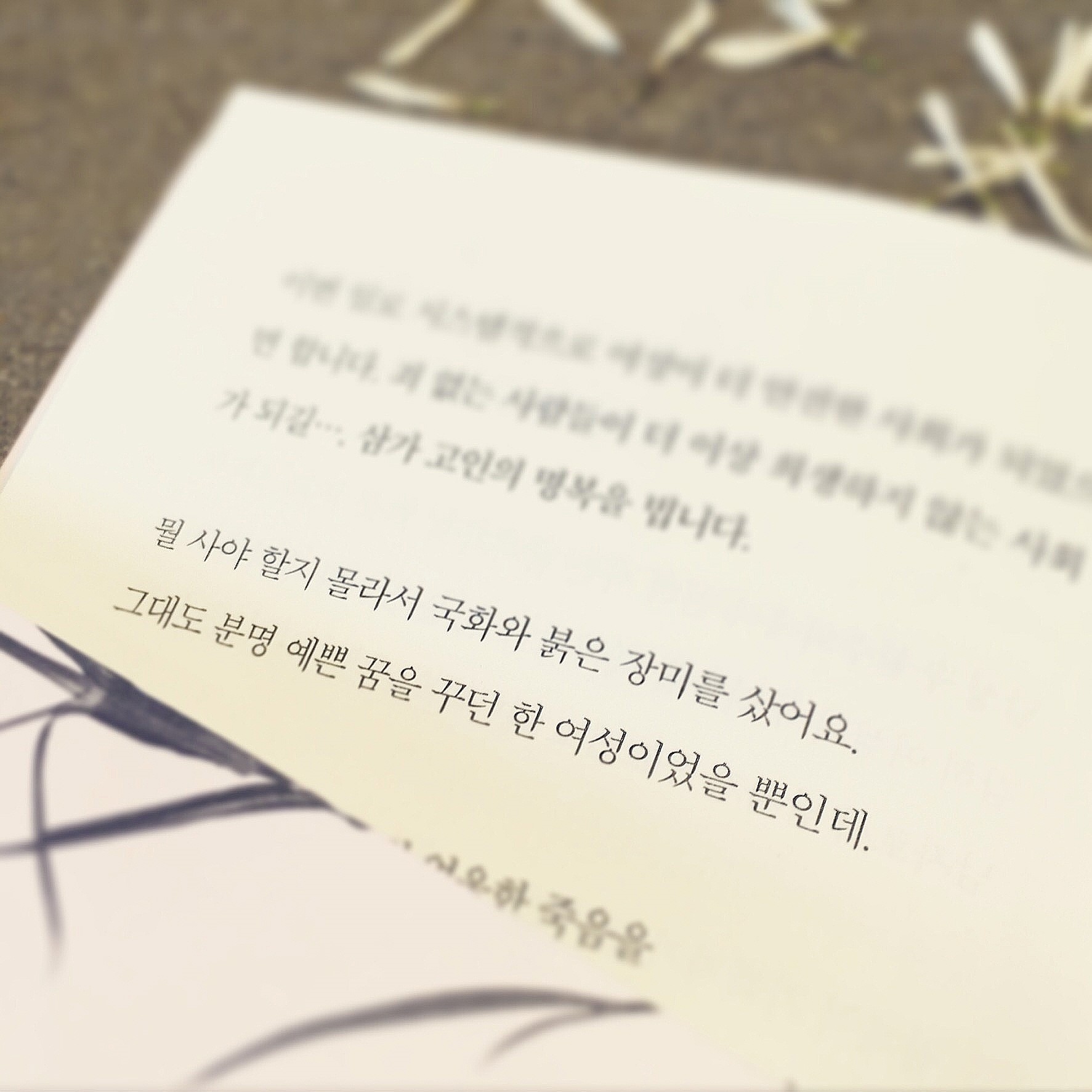 메모지 한 장 크기만큼만이라도 / 노란 달이 뜰 거야
