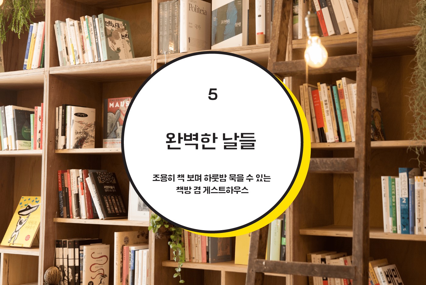 1화. 속초 인문지도 by 동아서점