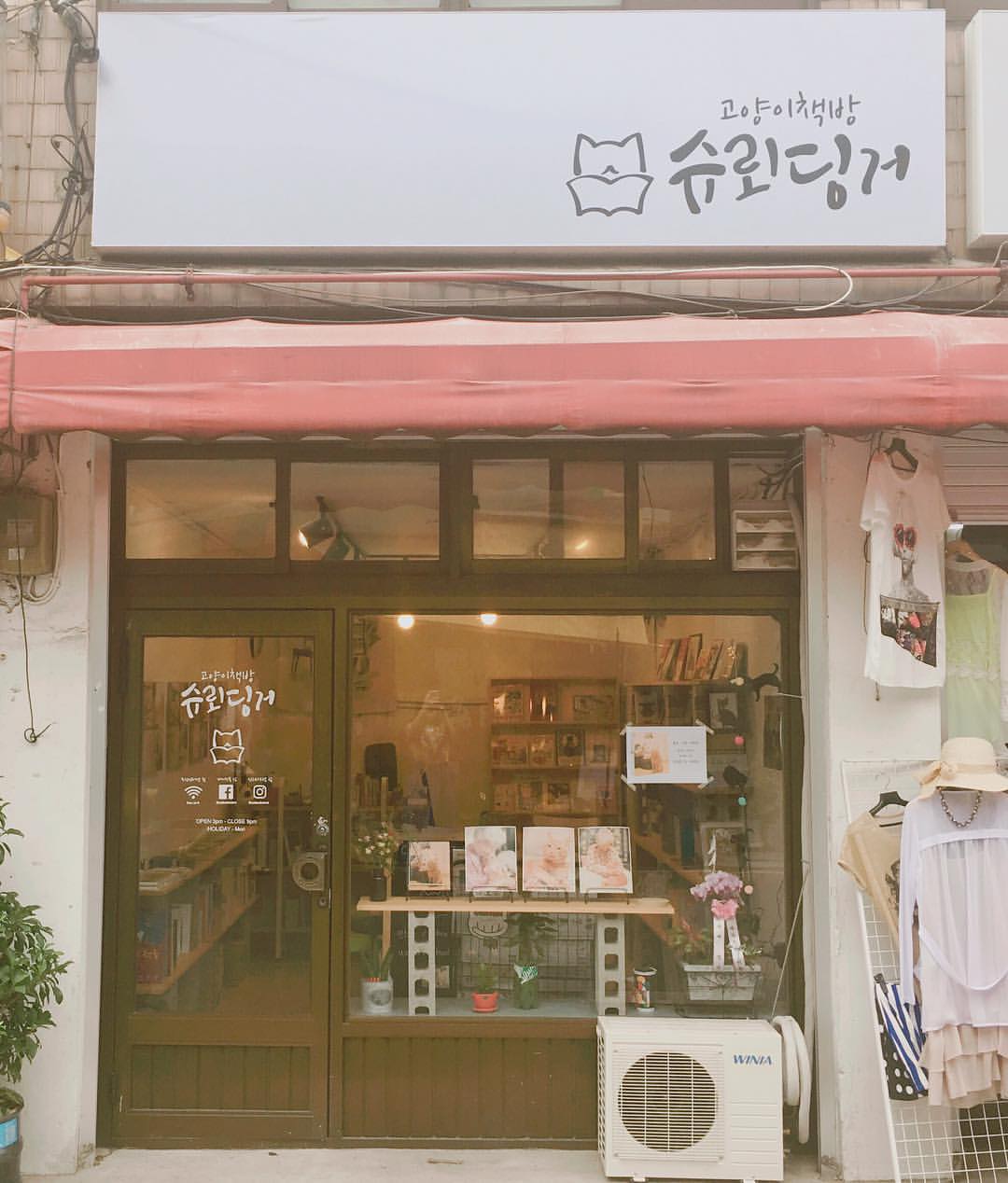 고양이가 사는 책방, #오늘의동네서점