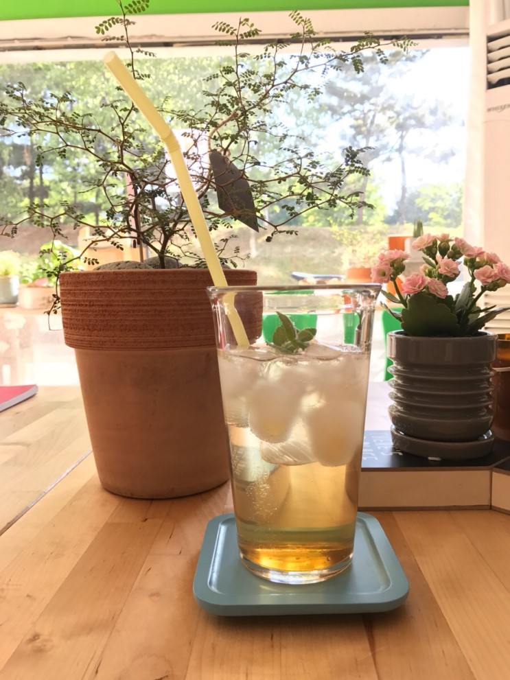 6월 첫째 주 가볼 만한 동네서점 5