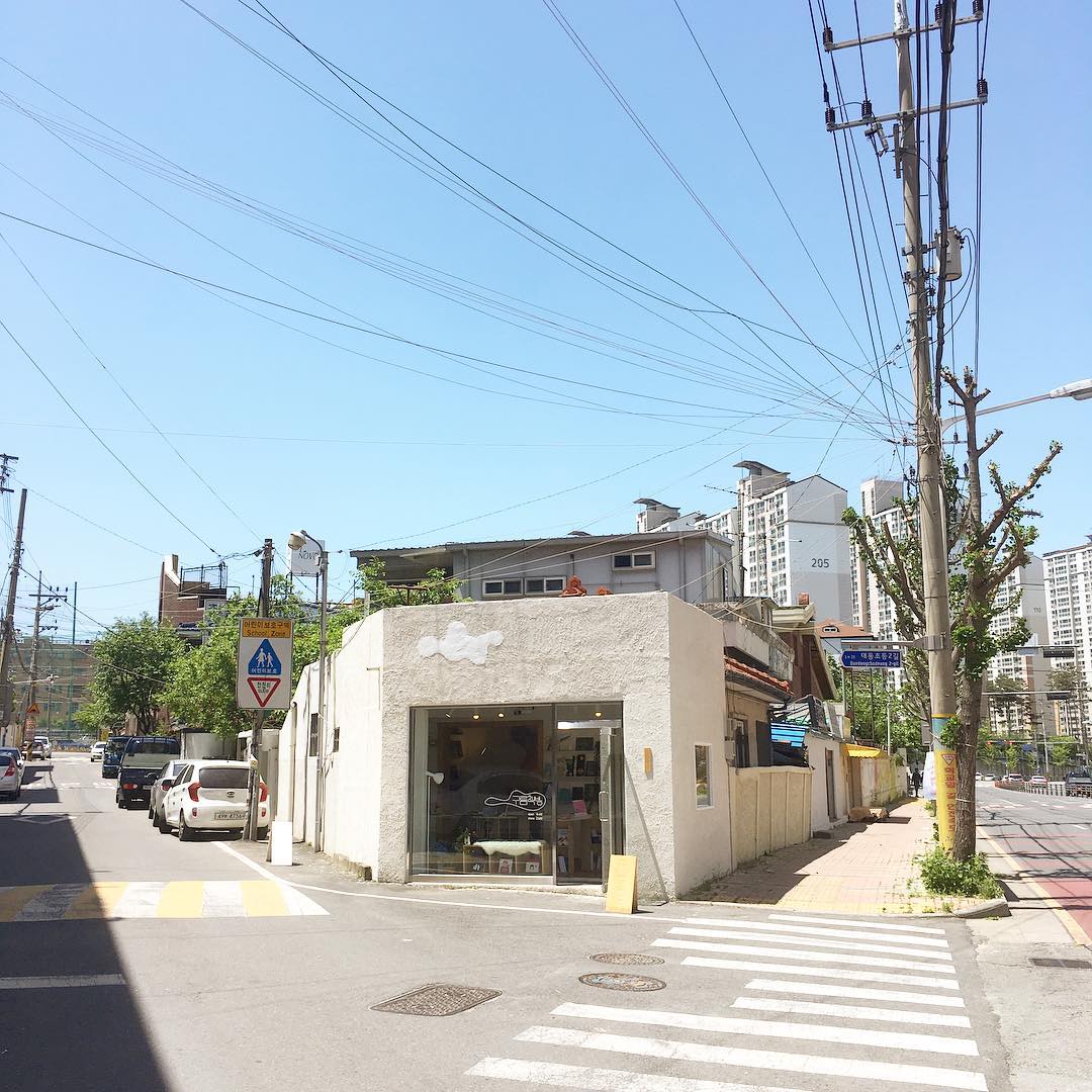 6월 첫째 주 가볼 만한 동네서점 5