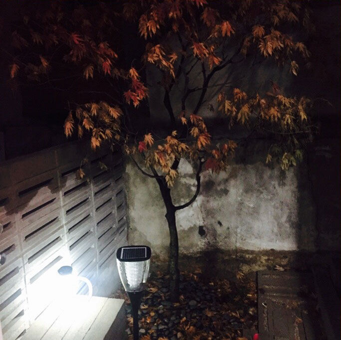  7월 둘째 주 가볼 만한 동네서점 5 