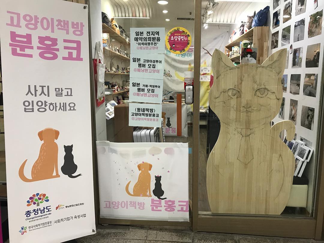  7월 둘째 주 가볼 만한 동네서점 5 