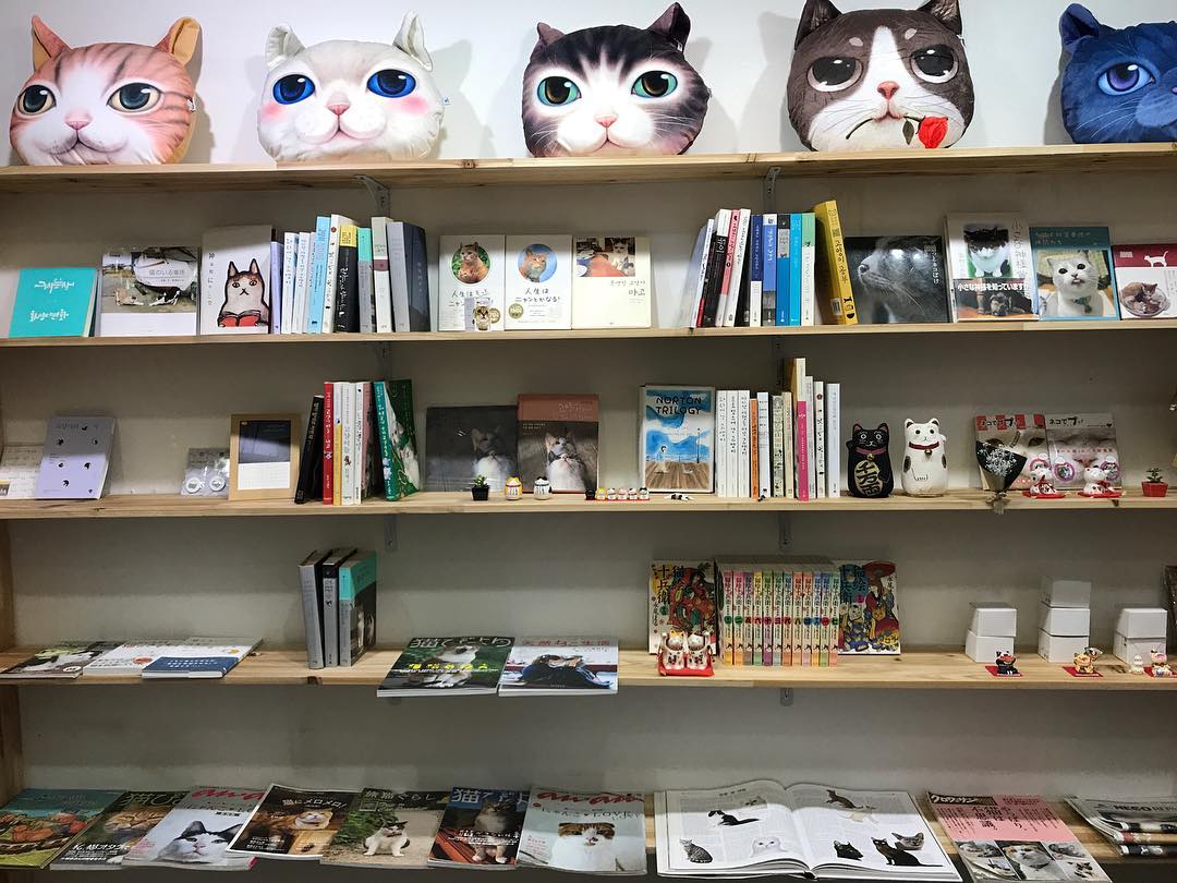  7월 둘째 주 가볼 만한 동네서점 5 