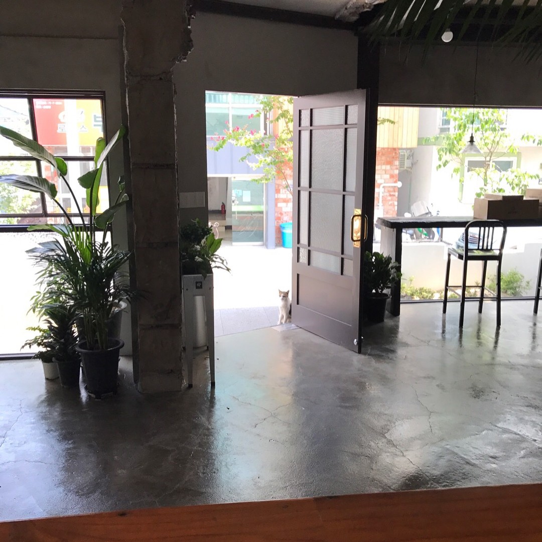 8월 1주 가볼 만한 동네서점 4