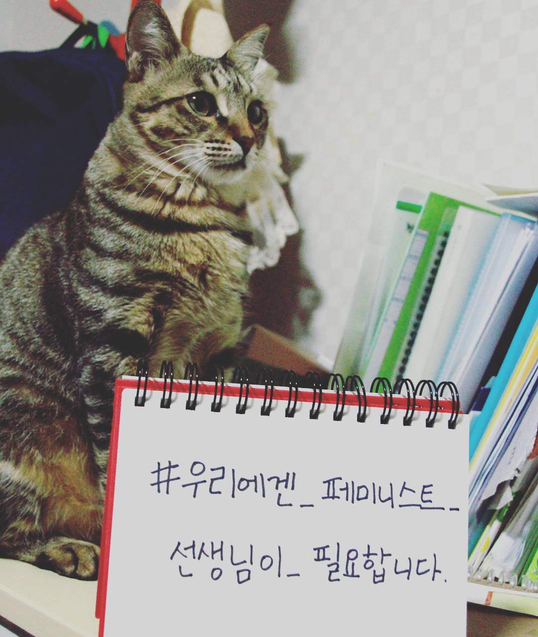 9월 3주 가볼 만한 동네서점 4