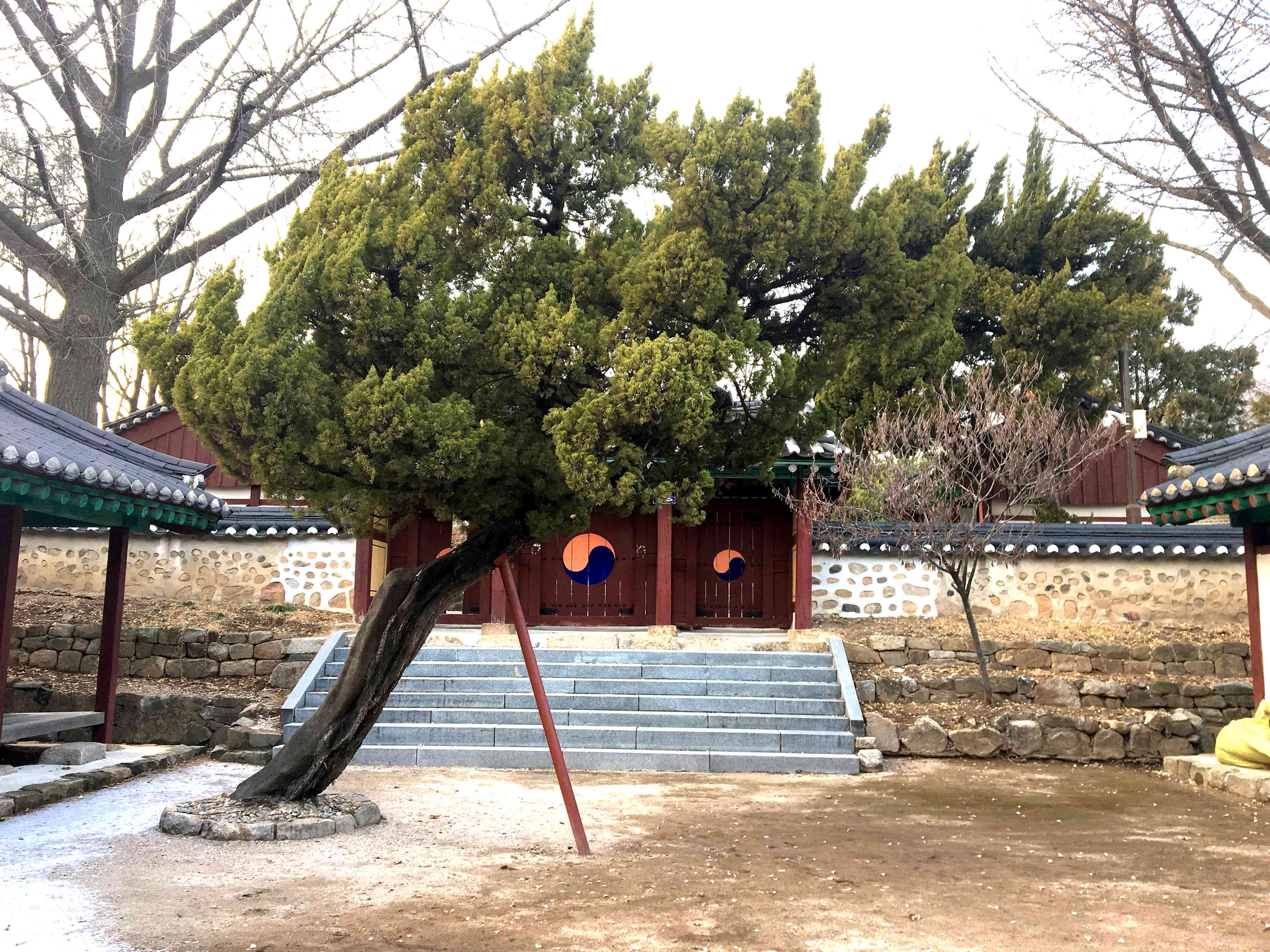 02 서협문고 추천코스 | 부평향교 - 계양산