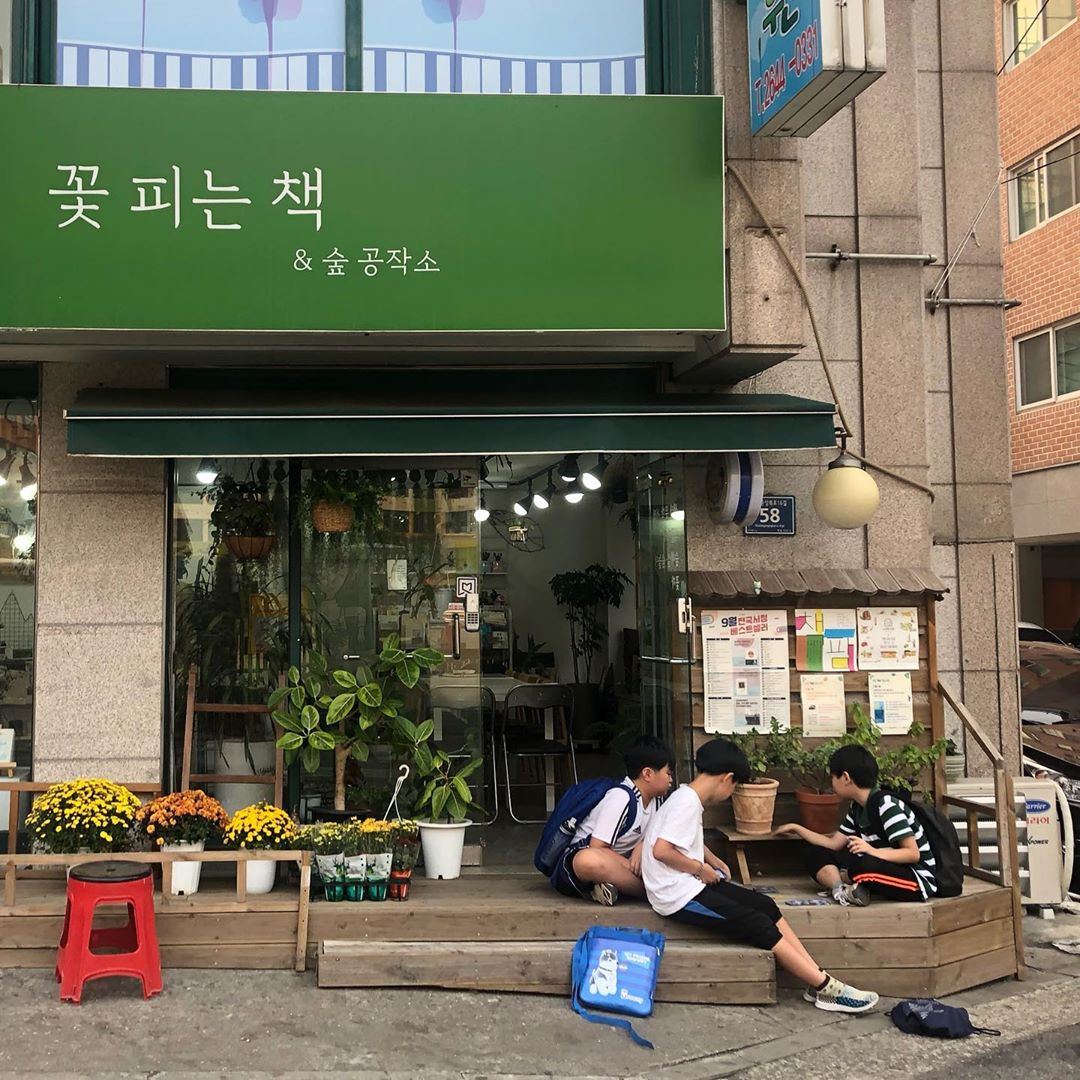 사회적 거리 지키고, 식물과 거리 좁혀봐요 #식물생태서점 8
