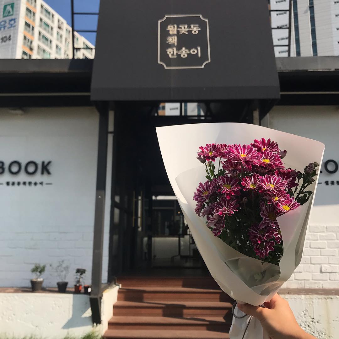 사회적 거리 지키고, 식물과 거리 좁혀봐요 #식물생태서점 8