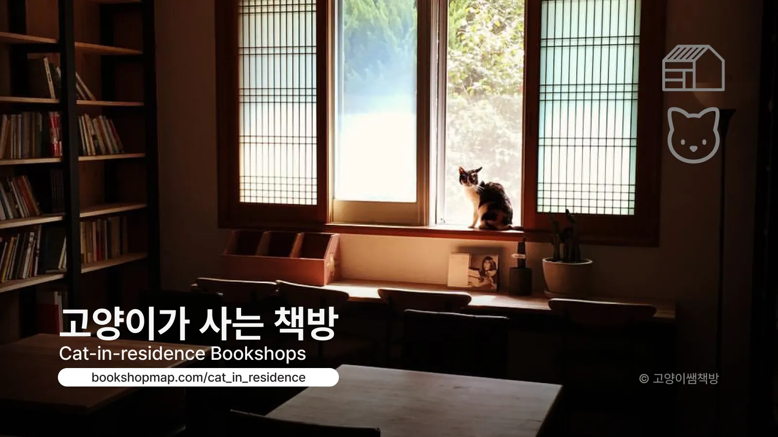 고양이가 사는 책방 19 🐈