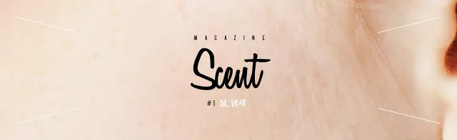 매거진 Scent
