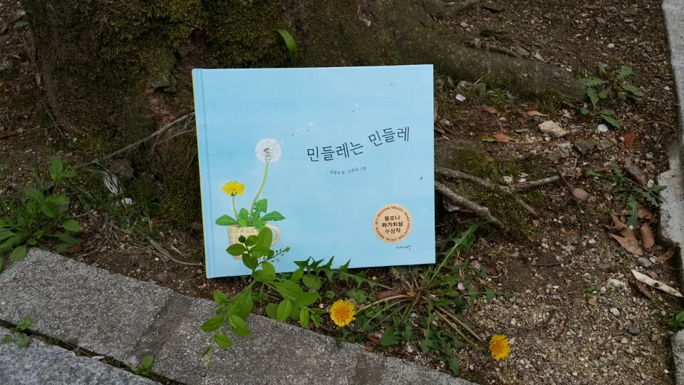 민들레는 민들레