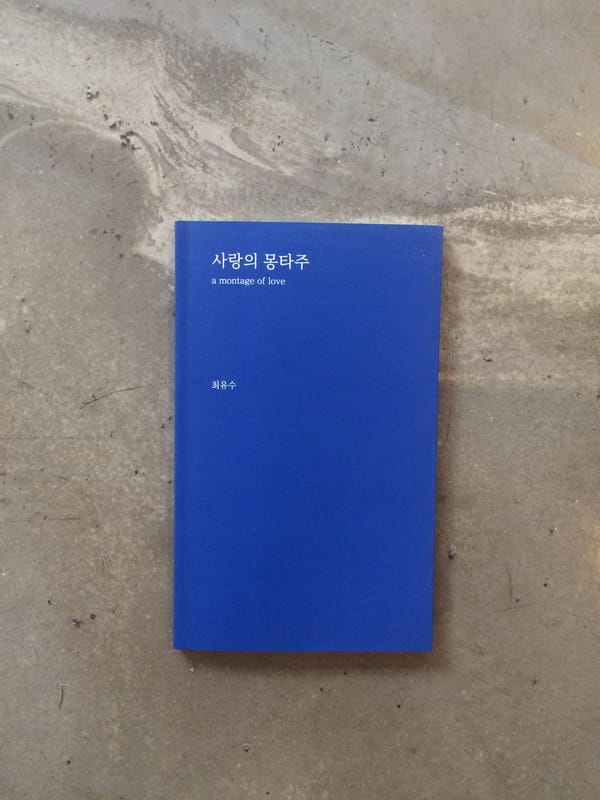 #책추천: 사랑의 몽타주 / 우리 가족 납치 사건 