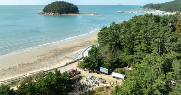 🏝️바다와 숲이 있는 책 읽고 싶은 수목원