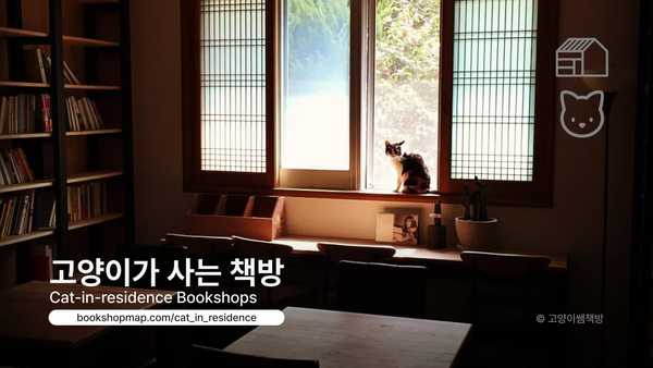 고양이가 사는 책방 19 🐈